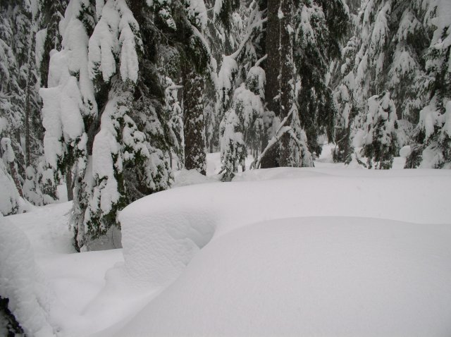 Frog Lake Snowshoe Jan 21 2005 017 